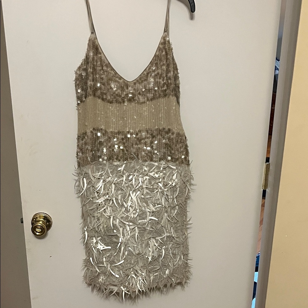 Poleci Sequin and Feather Embellished Dress-beige and grey. Beautiful